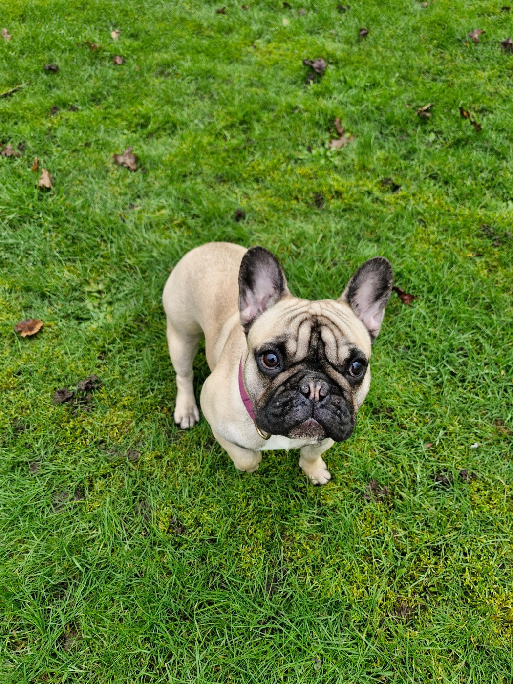 Vita Des Merveilles D'la Montagne